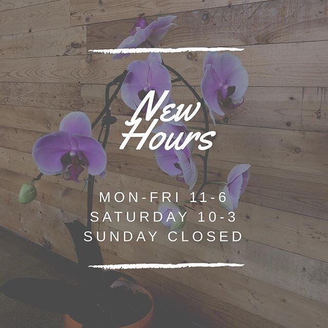 Our new hours ✨