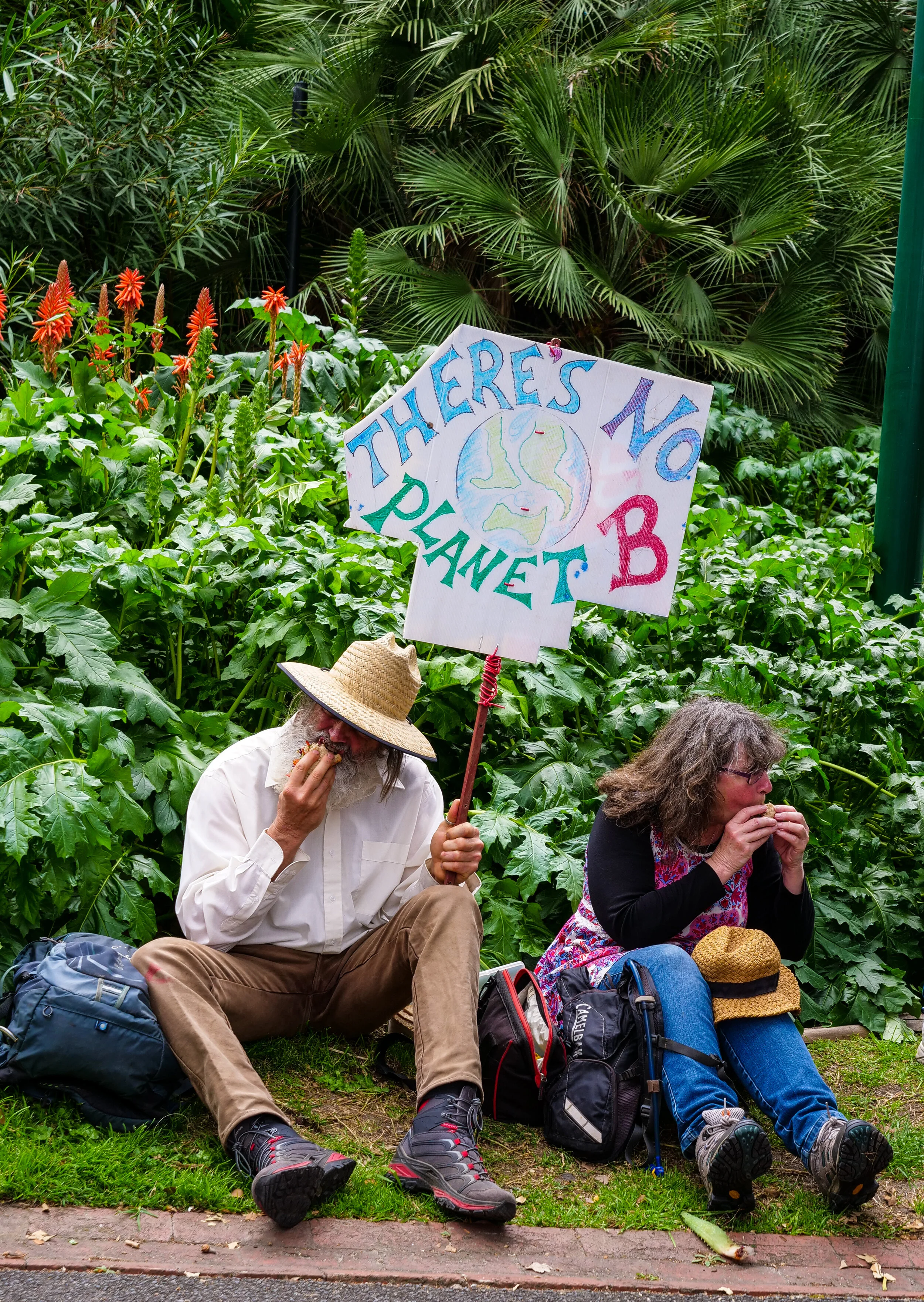 P1044485-2.jpg
