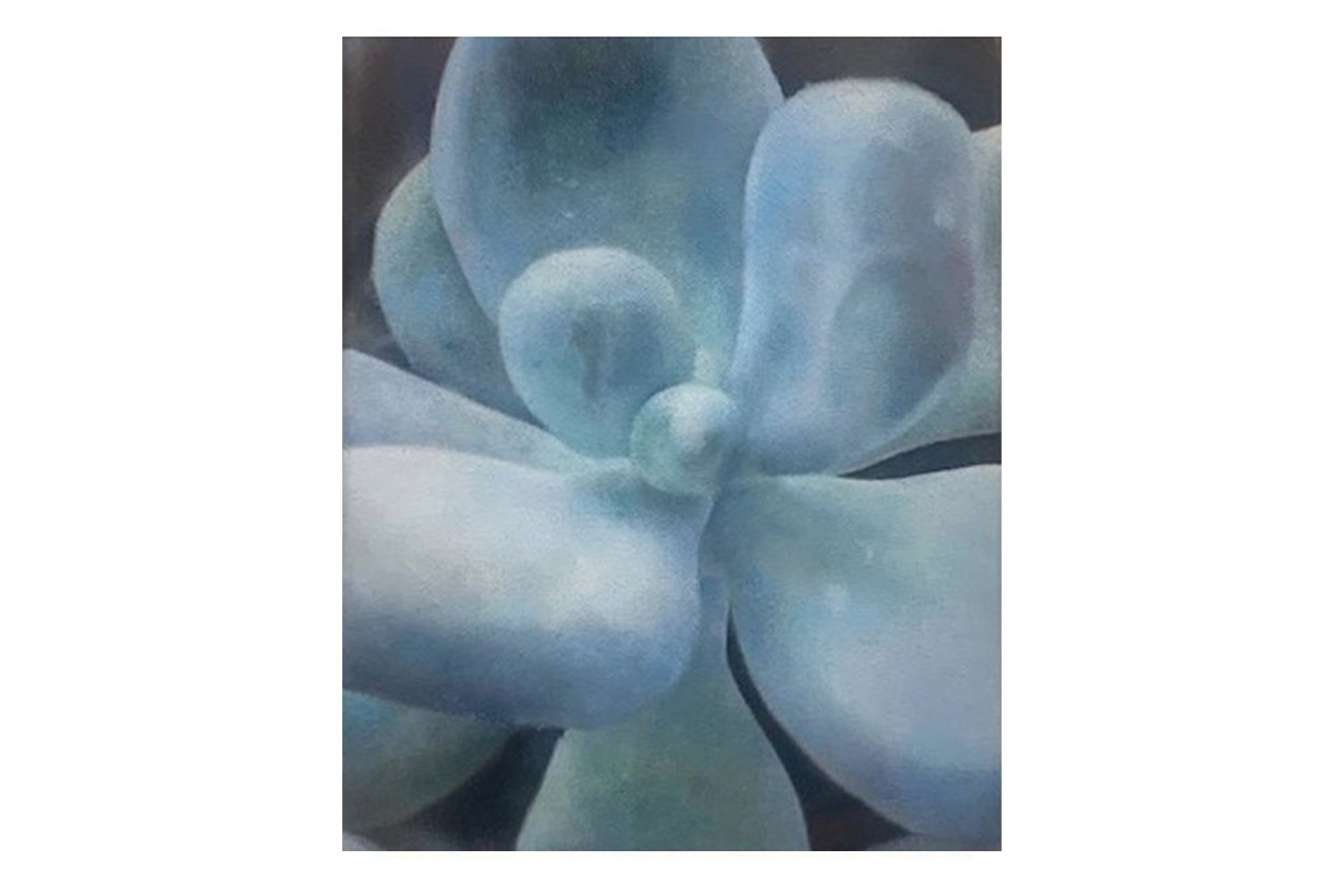 MICHAEL AGUIRRE | Suyo