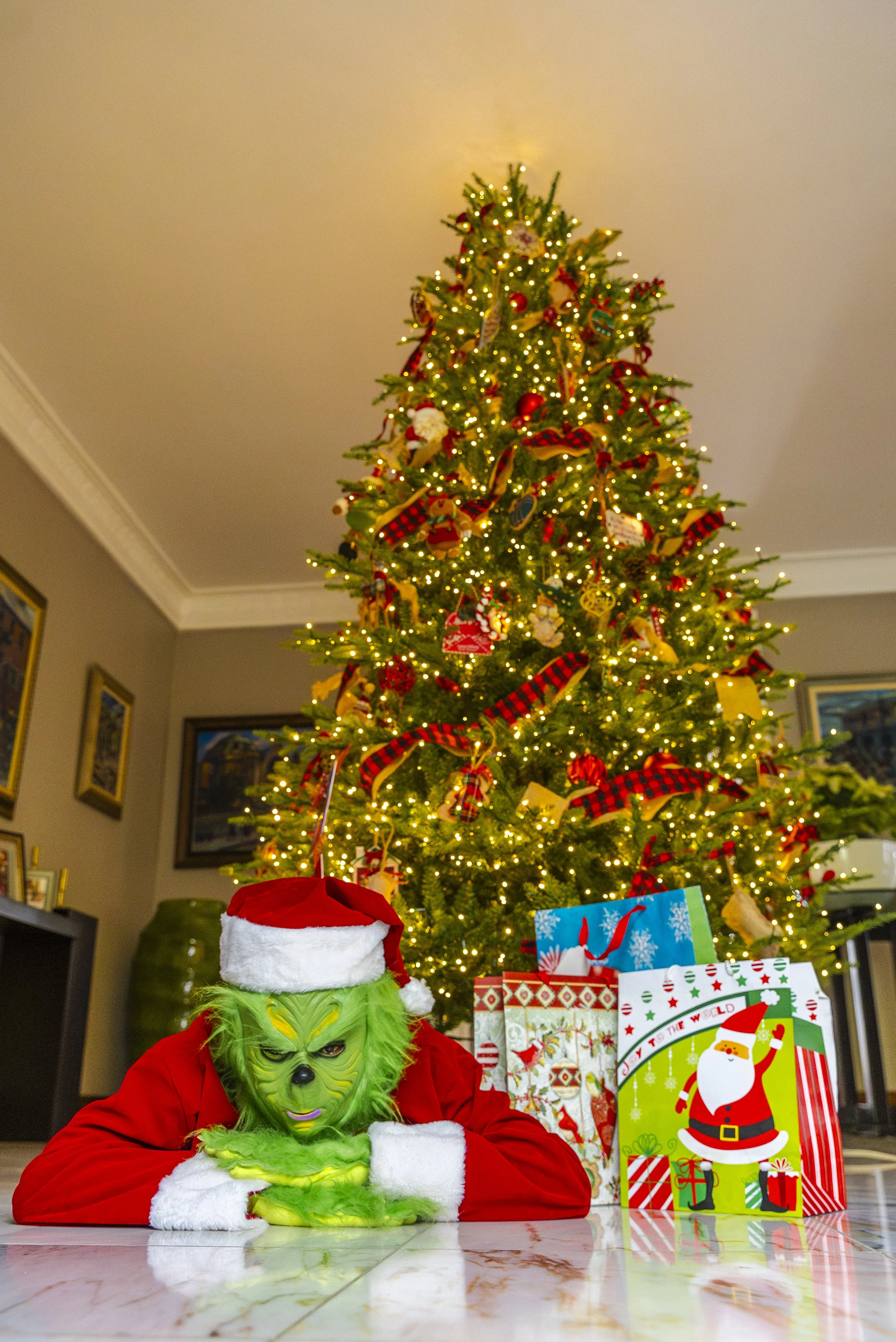 Grinch Stole Christmas