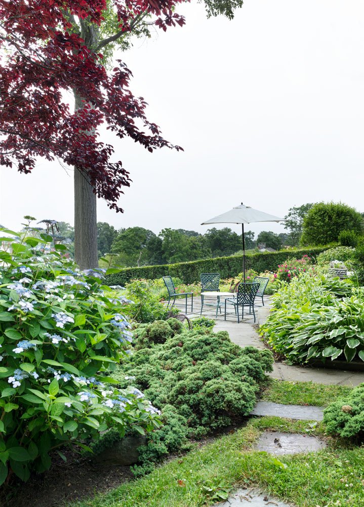 HulyaKolabasPhotography-StamfordGarden__007.jpg