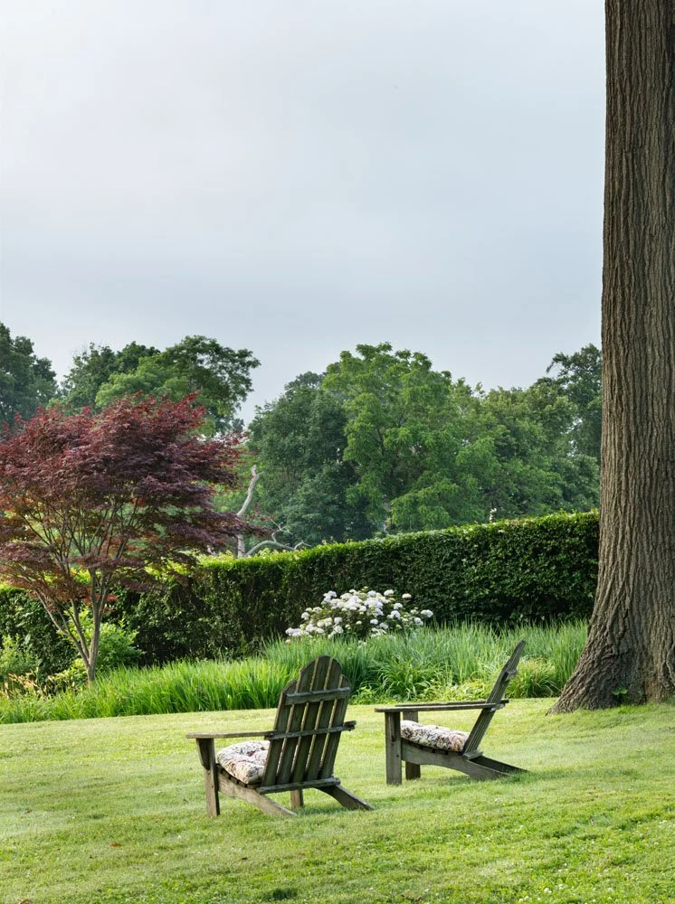 HulyaKolabasPhotography-StamfordGarden__005.jpg