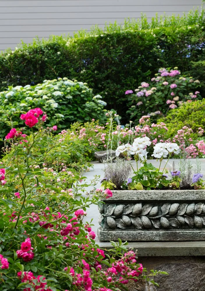 HulyaKolabasPhotography-StamfordGarden__008.jpg