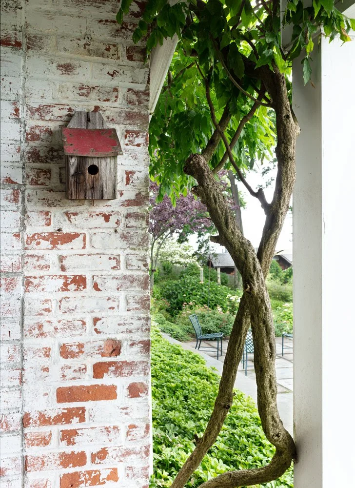 HulyaKolabasPhotography-StamfordGarden__009.jpg