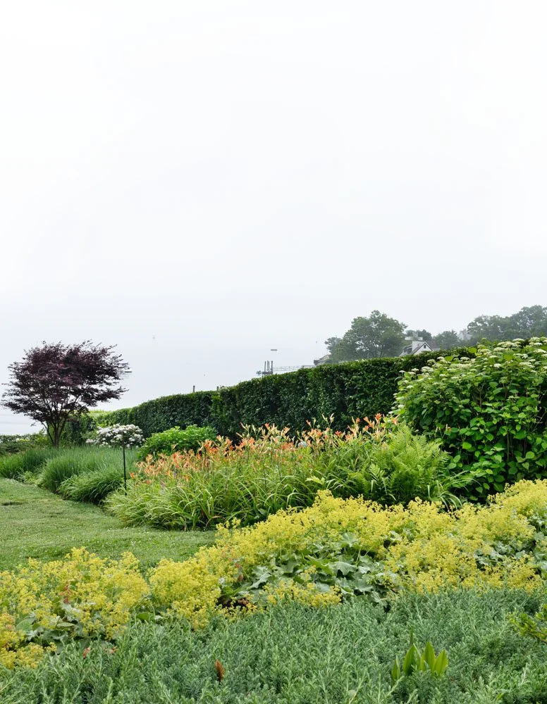 HulyaKolabasPhotography-StamfordGarden__011.jpg