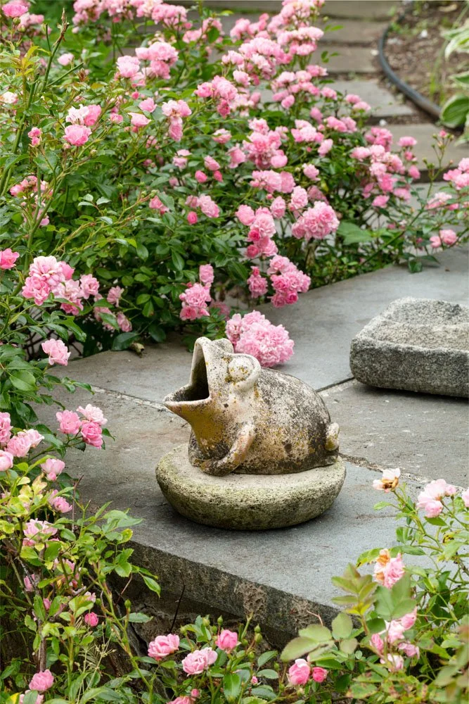 HulyaKolabasPhotography-StamfordGarden__014.jpg