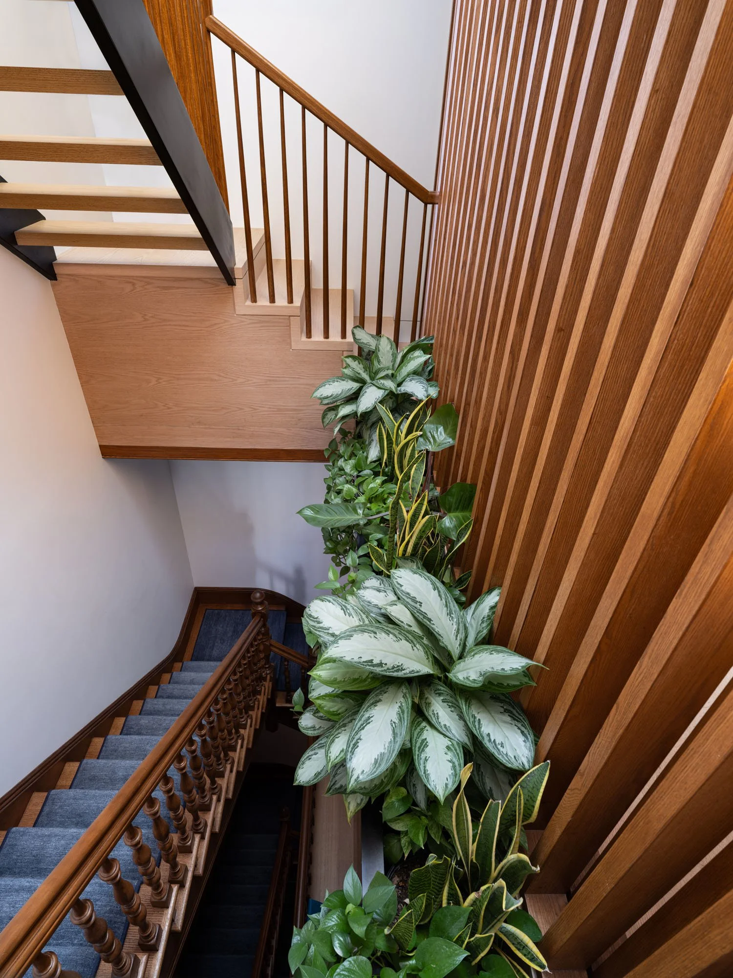 HoshinoExteriors_207.jpg