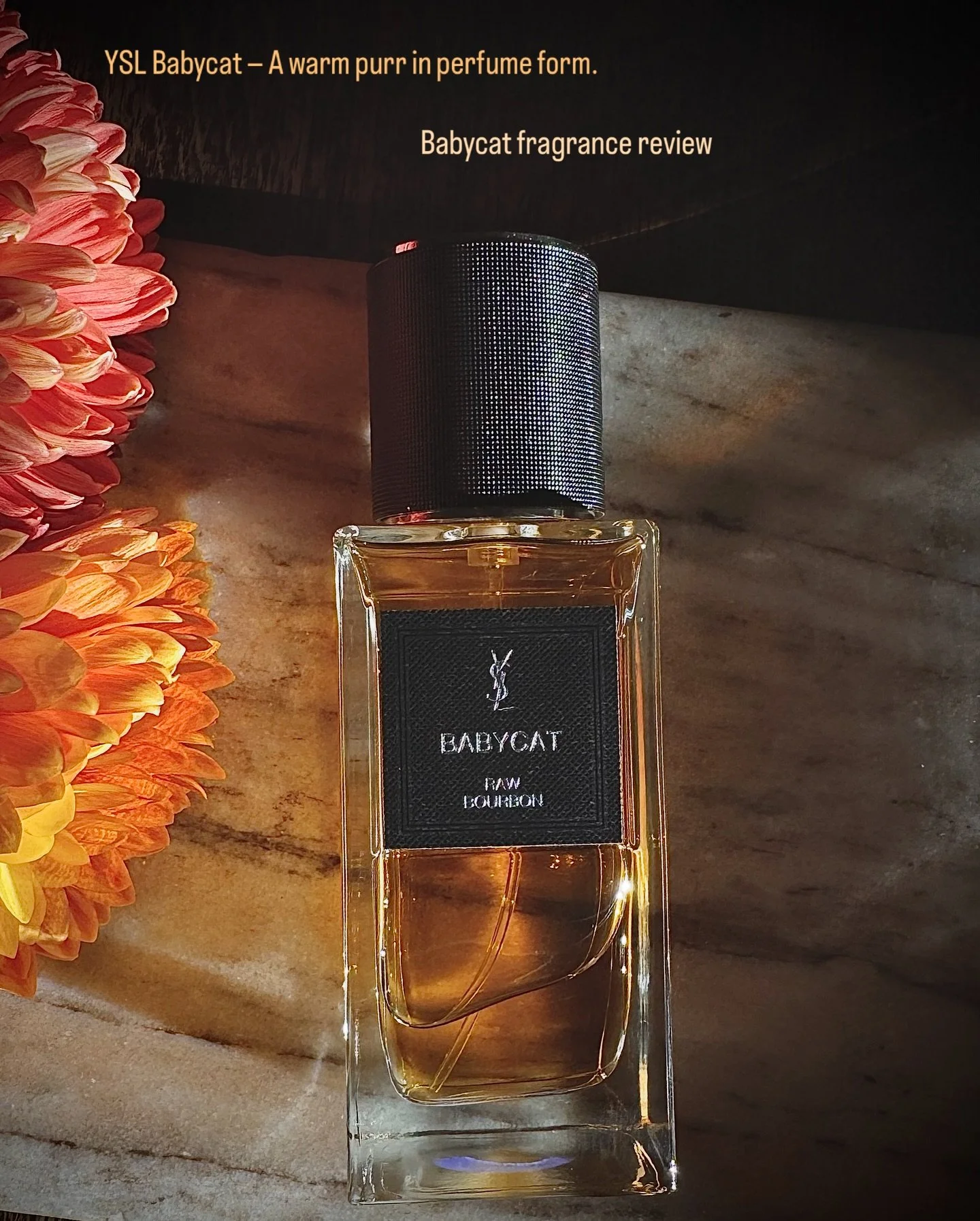 YSL Babycat Review
When the one that got away shows up on Sephora.com ๐
Do you ever blind buy fragrance?
YSL Babycat has been on my wish list for a few years. I’ve actually travelled to different parts of the US trying to smell it instead o