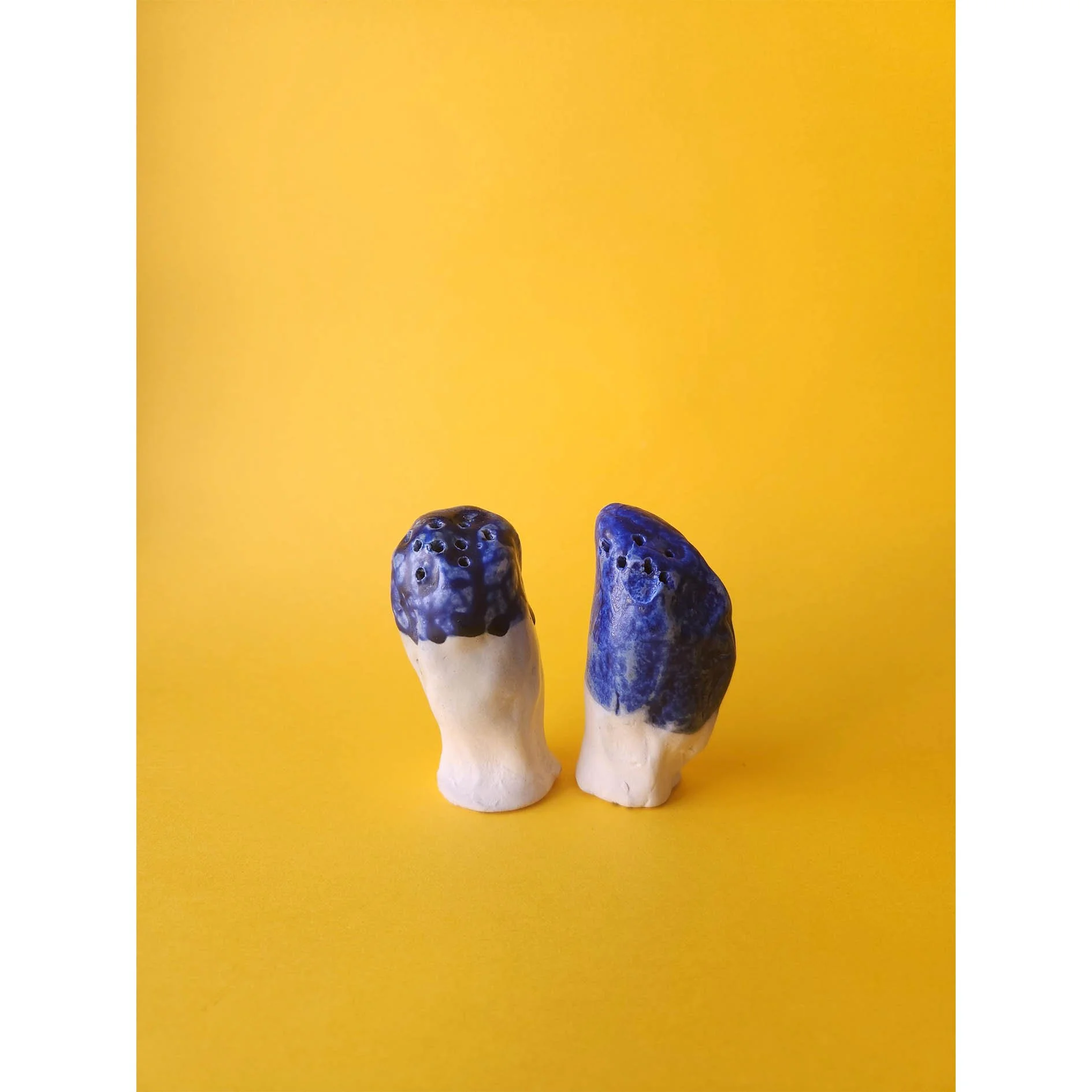 Bryn Jones salt and pepper square.jpg