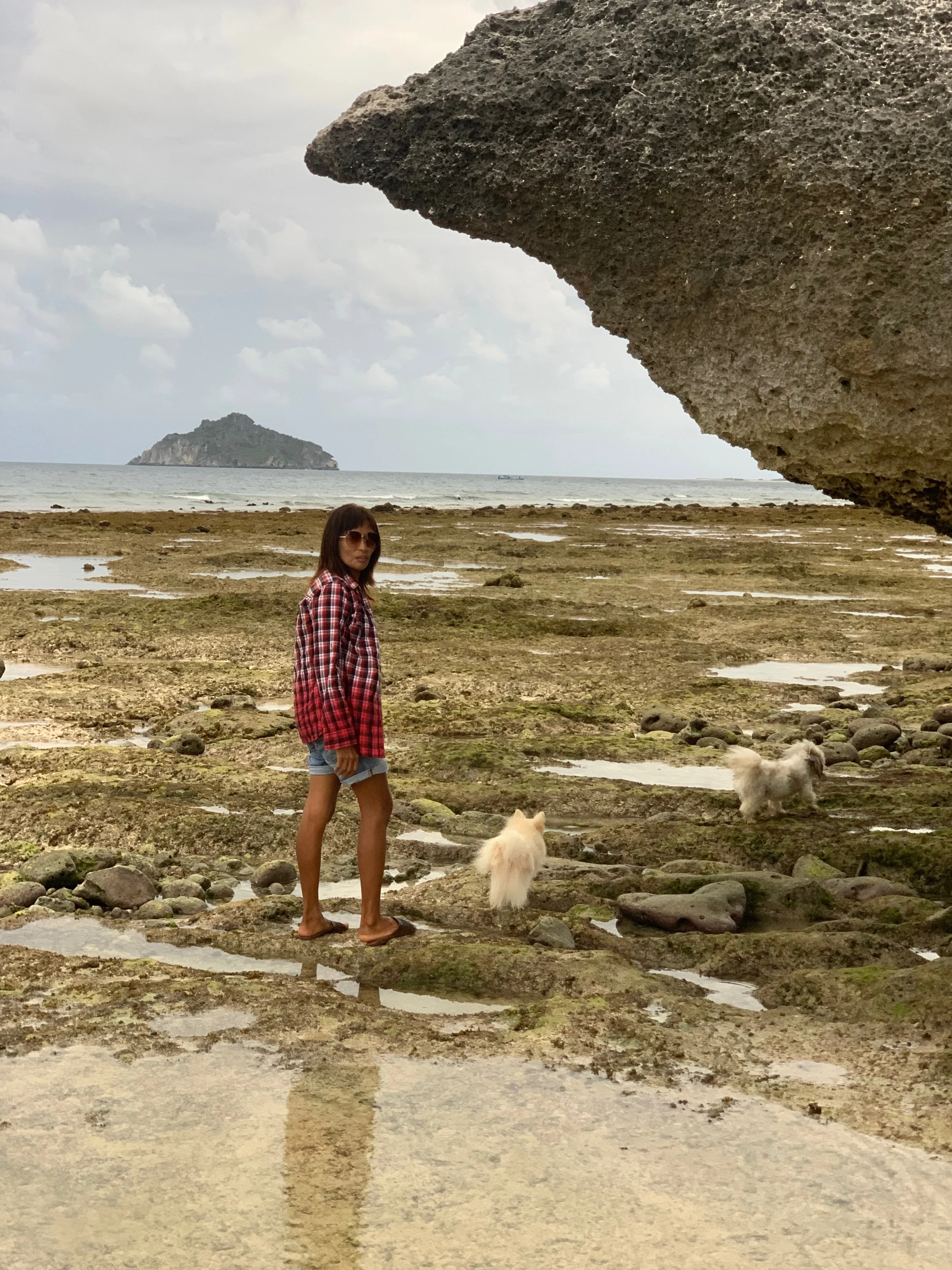 January 2022 - Lualemba Bungalow Resort - Nemberala Rote Island - Newsletter