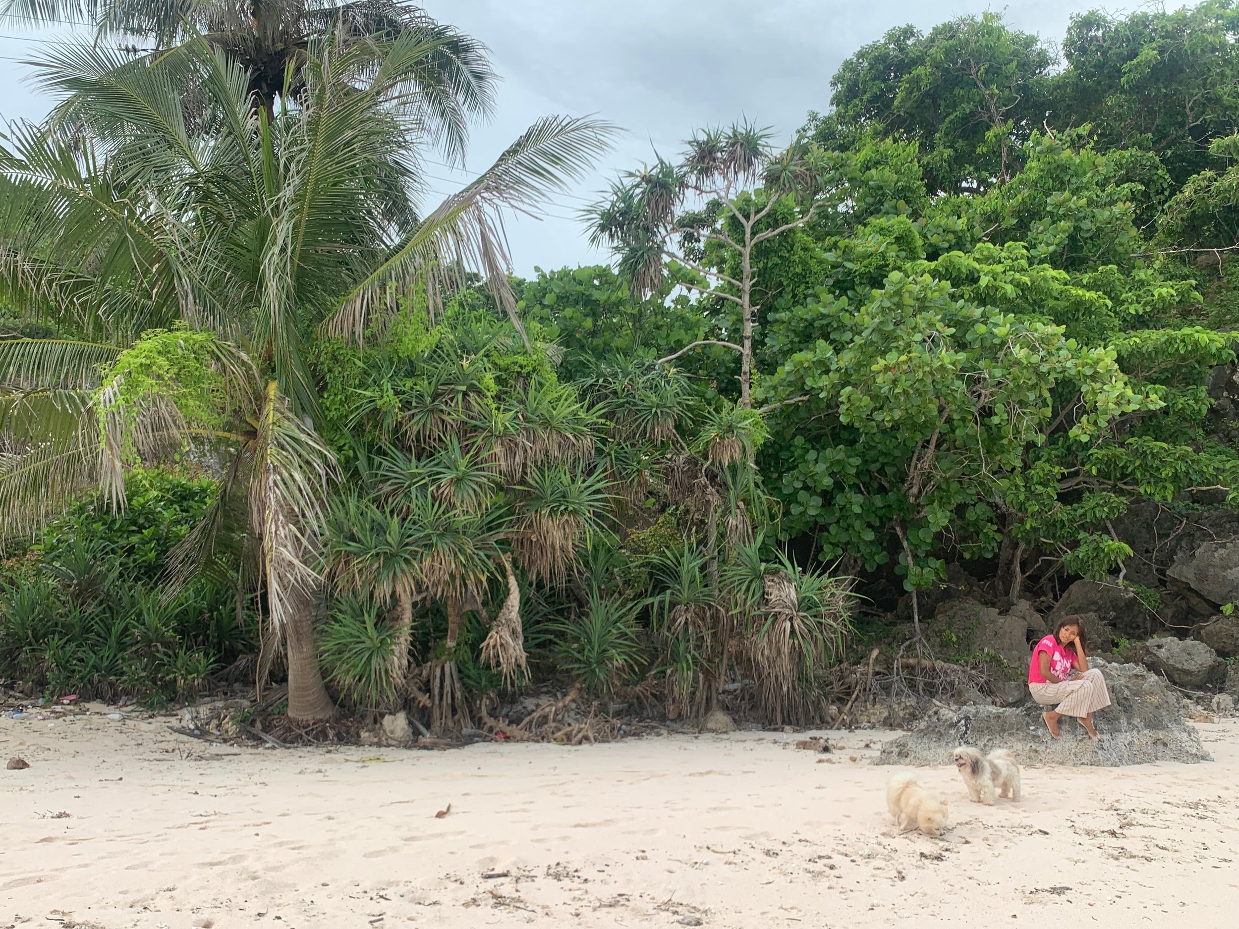 February 2022 - Lualemba Bungalow Resort - Nemberala Rote Island - Newsletter