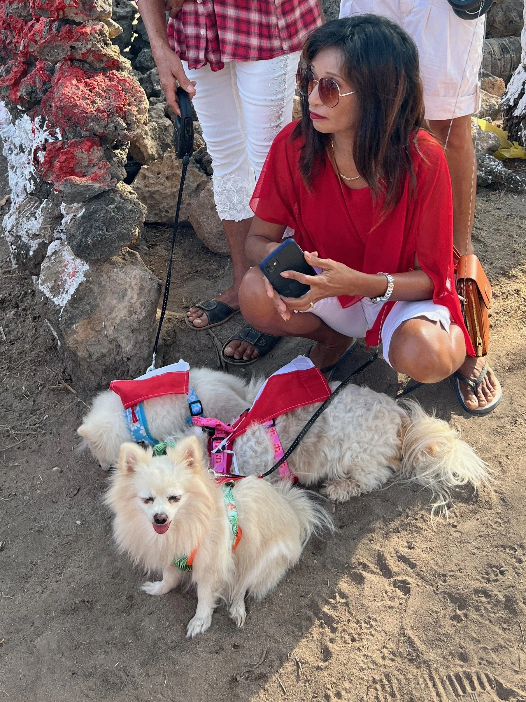 September 2022 - Lualemba Bungalow Resort - Nemberala Rote Island - Newsletter