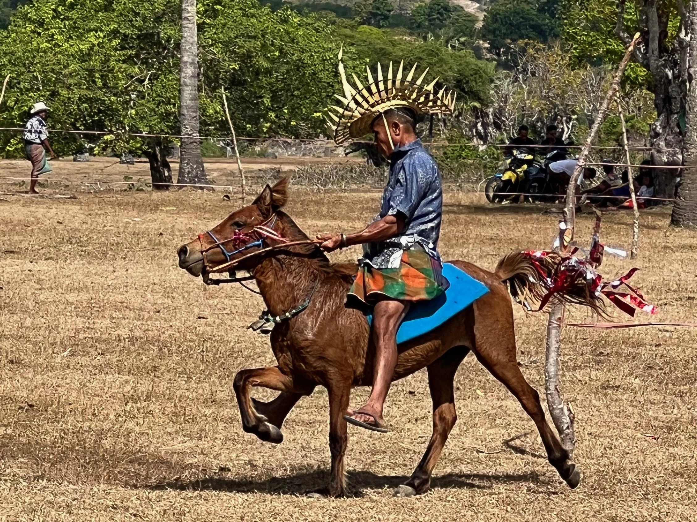 May 2023 - Lualemba Bungalow Resort - Nemberala Rote - Newsletter