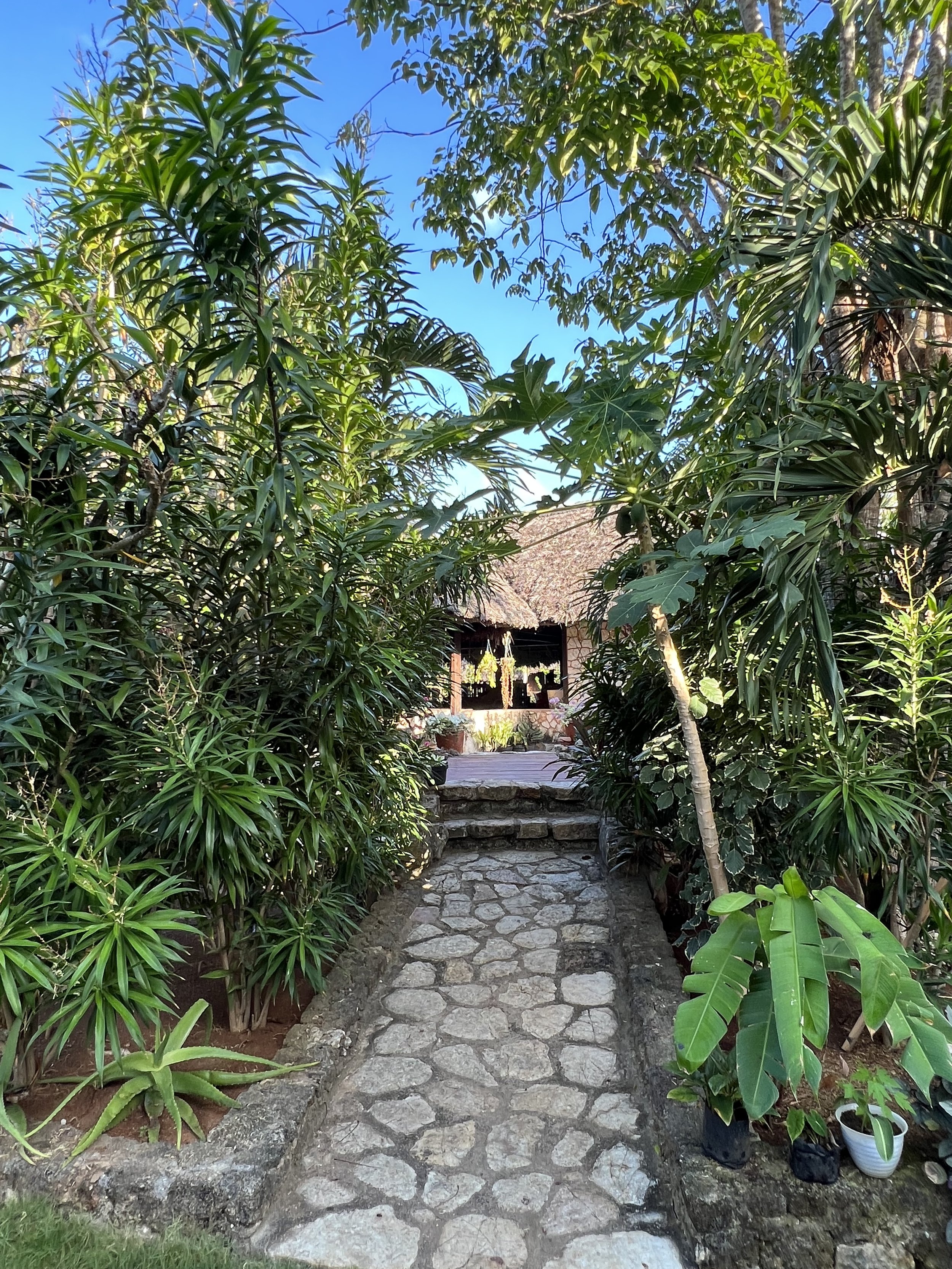 Lush gardens and fruiting trees is part of the Lualemba oasis