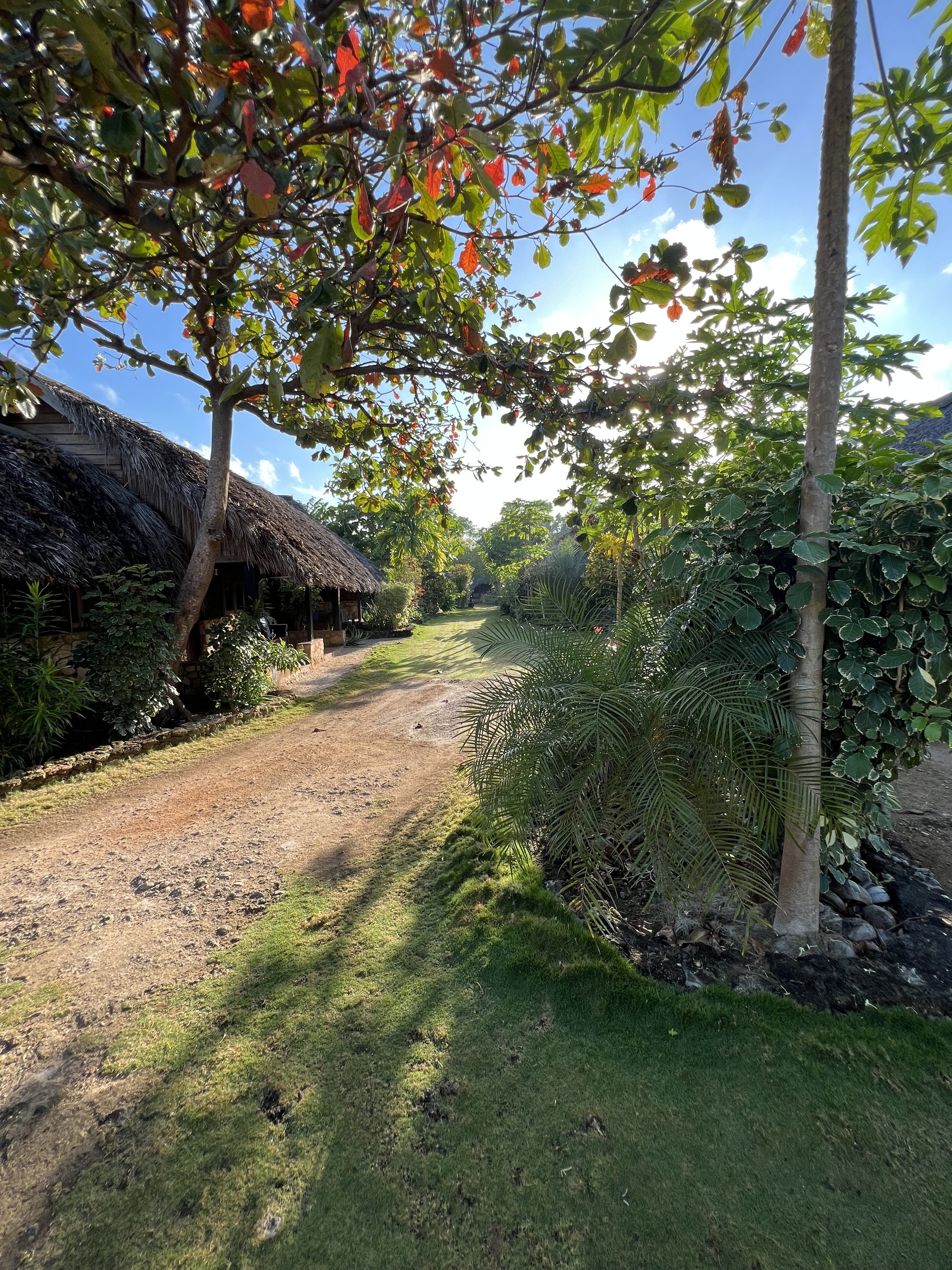 The road leading into Lualemba Bungalows. 