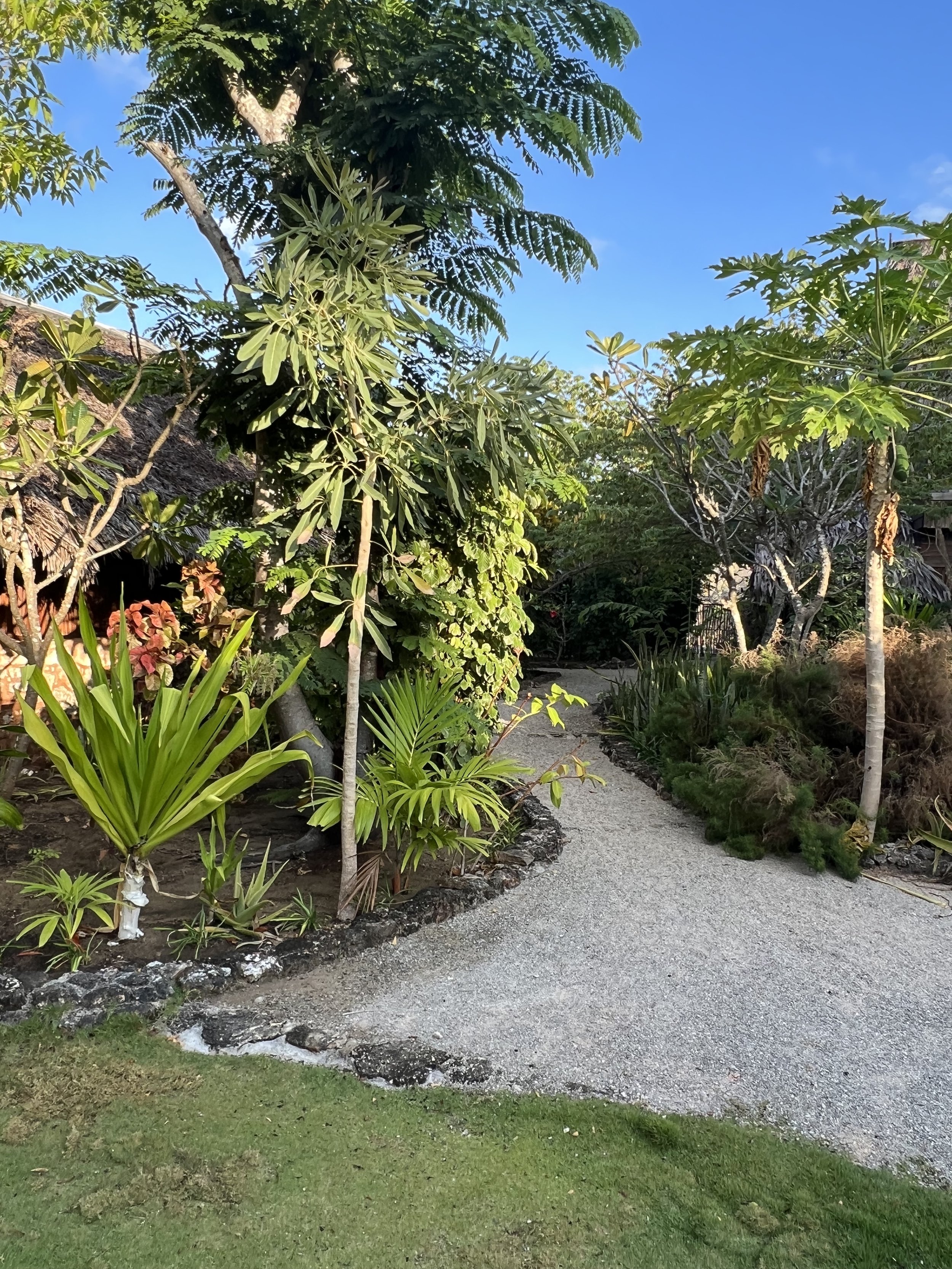 The path to bungalows through a maze of gardens. 
