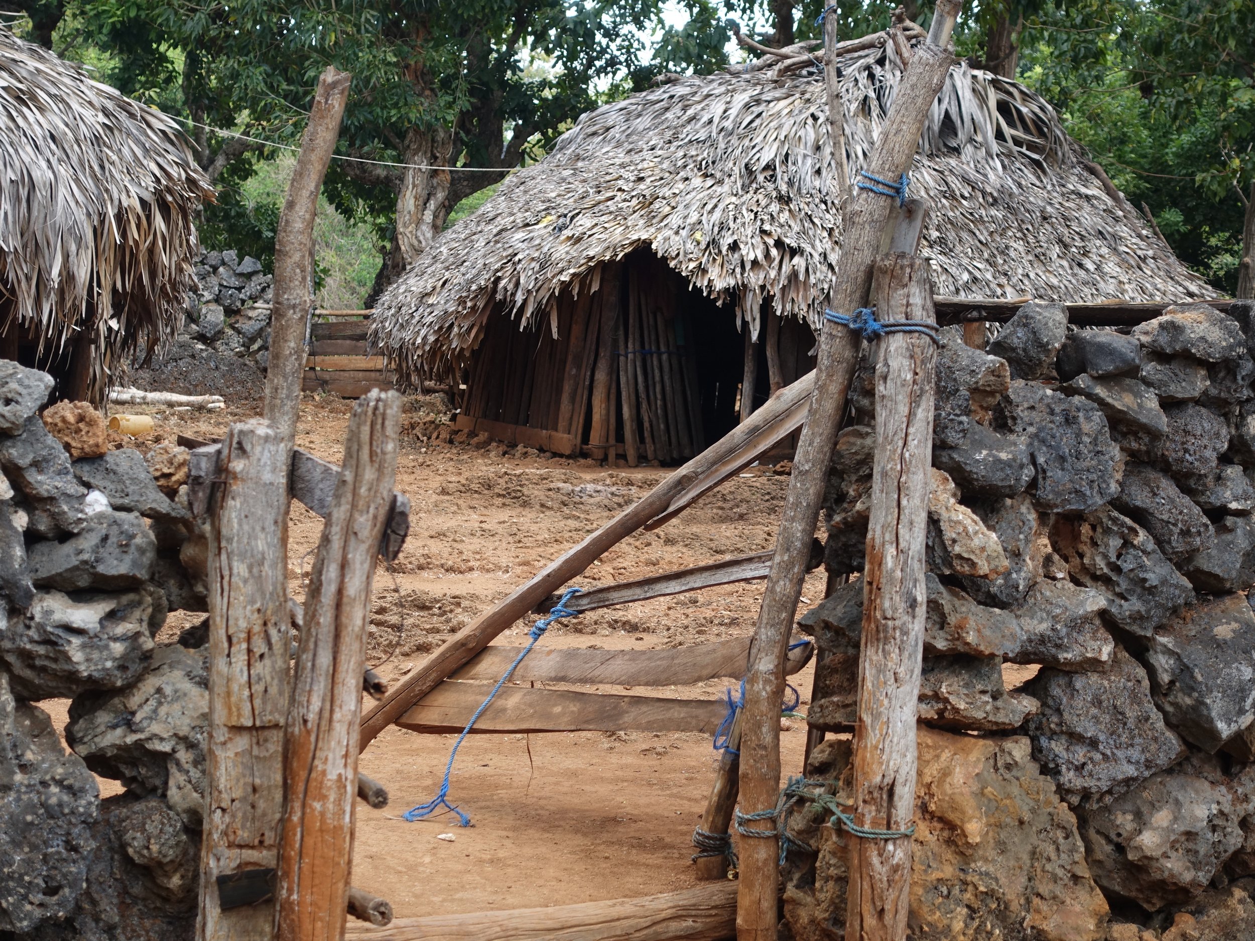 September 2023 - Lualemba Bungalow Resort - Nemberala, Rote Island - Newsletter