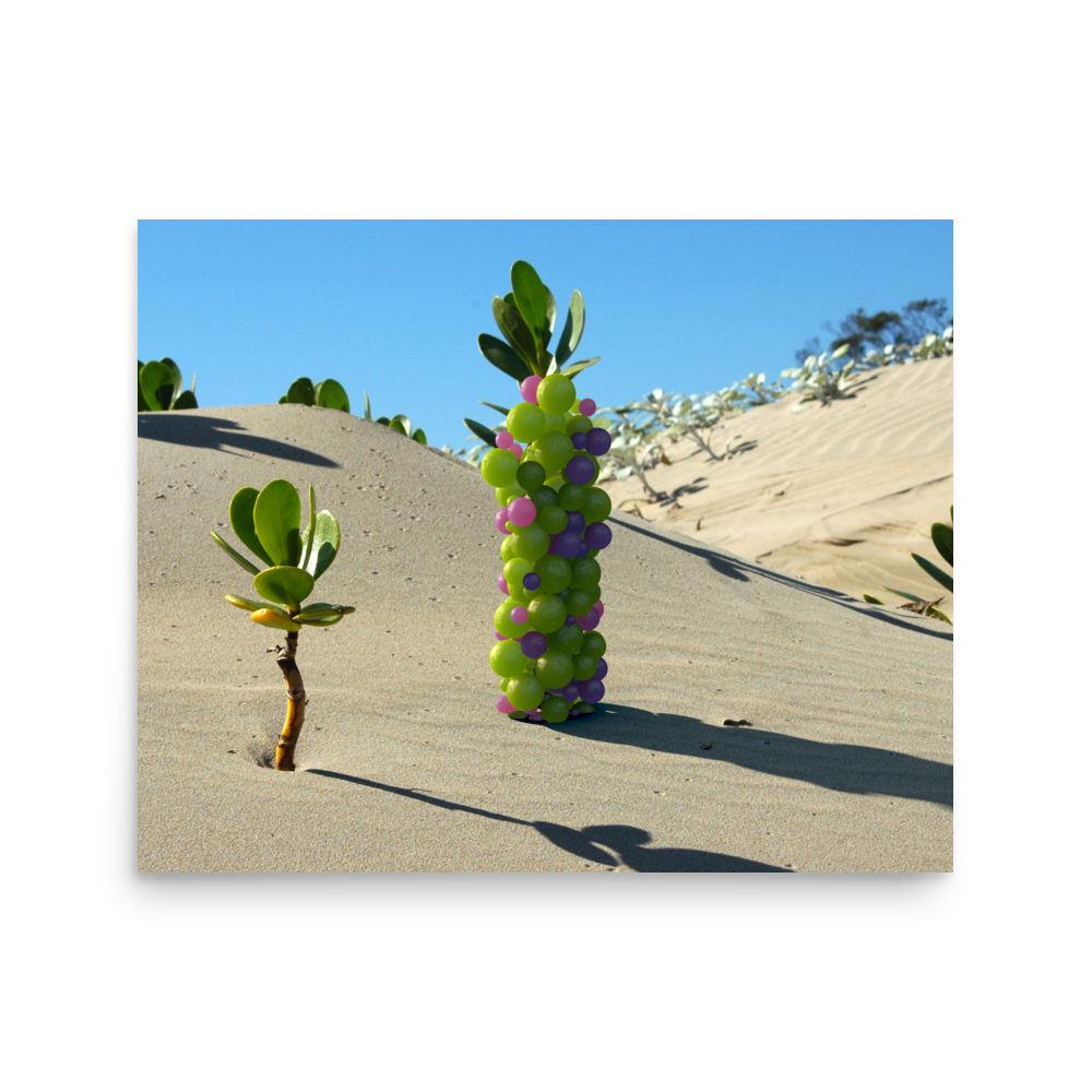 enhanced-matte-paper-poster-(in)-16x20-front-6785e001791bb.png
