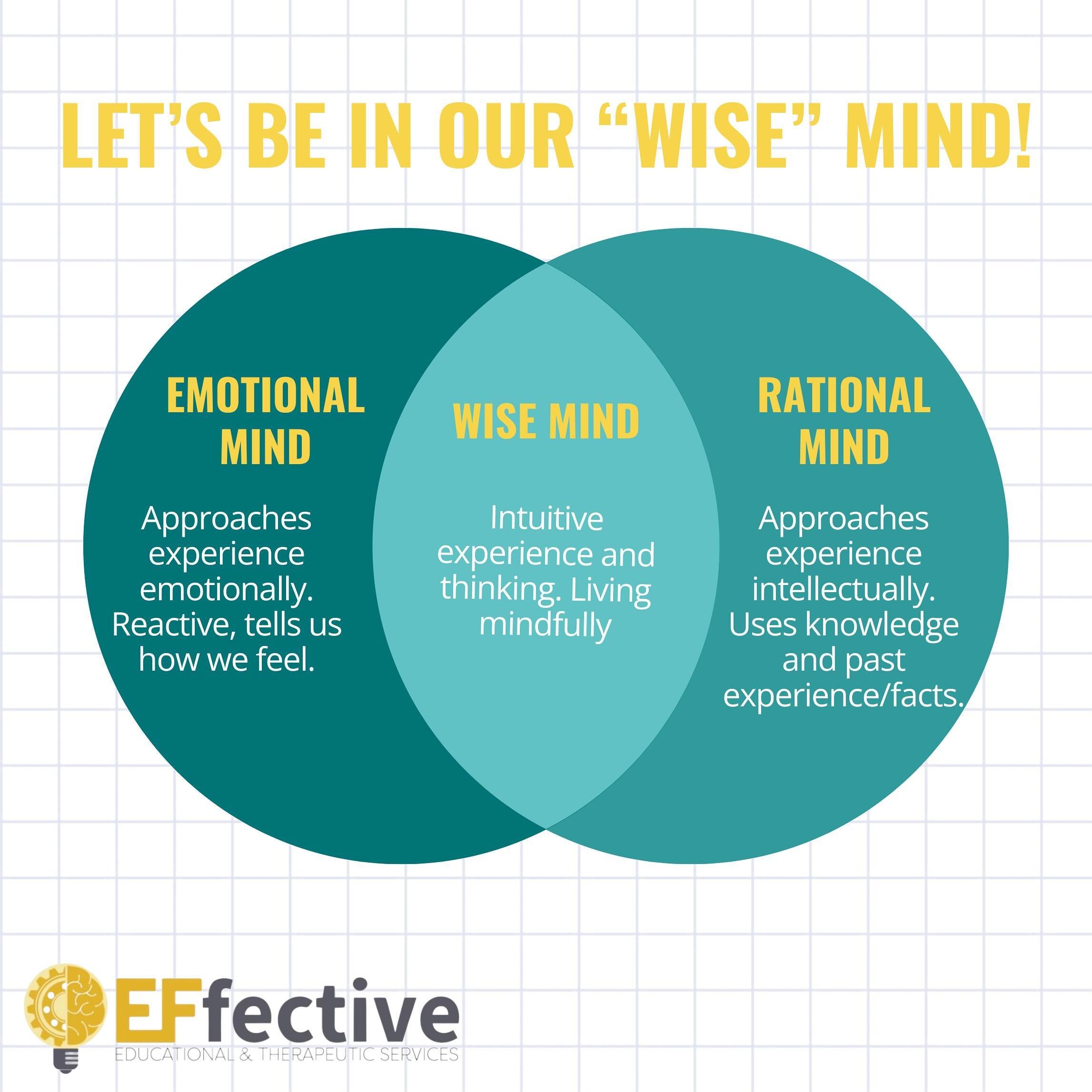 As parents, we navigate a delicate balance between nurturing our children&rsquo;s emotional growth, fostering their rational thinking, and guiding them towards wise decision-making. Let&rsquo;s empower our children to understand their emotions, engag