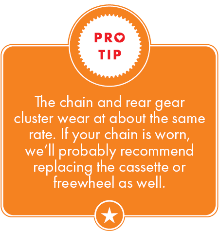 The chain and rear gear cluster wear at about the same rate. If your chain is worn, we’ll probably recommend replacing the cassette or freewheel as well.