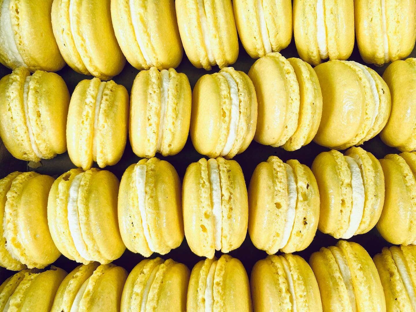 Limoncello ganache macarons, need we say more? Made with our hand-zested limoncello, these are bursting with a bright, citrus flavor! 🍋 #limoncello #macarons #macaronstagram #macaron #craftspirits #craftdistillery #distillery #trysomethingnew #lemon