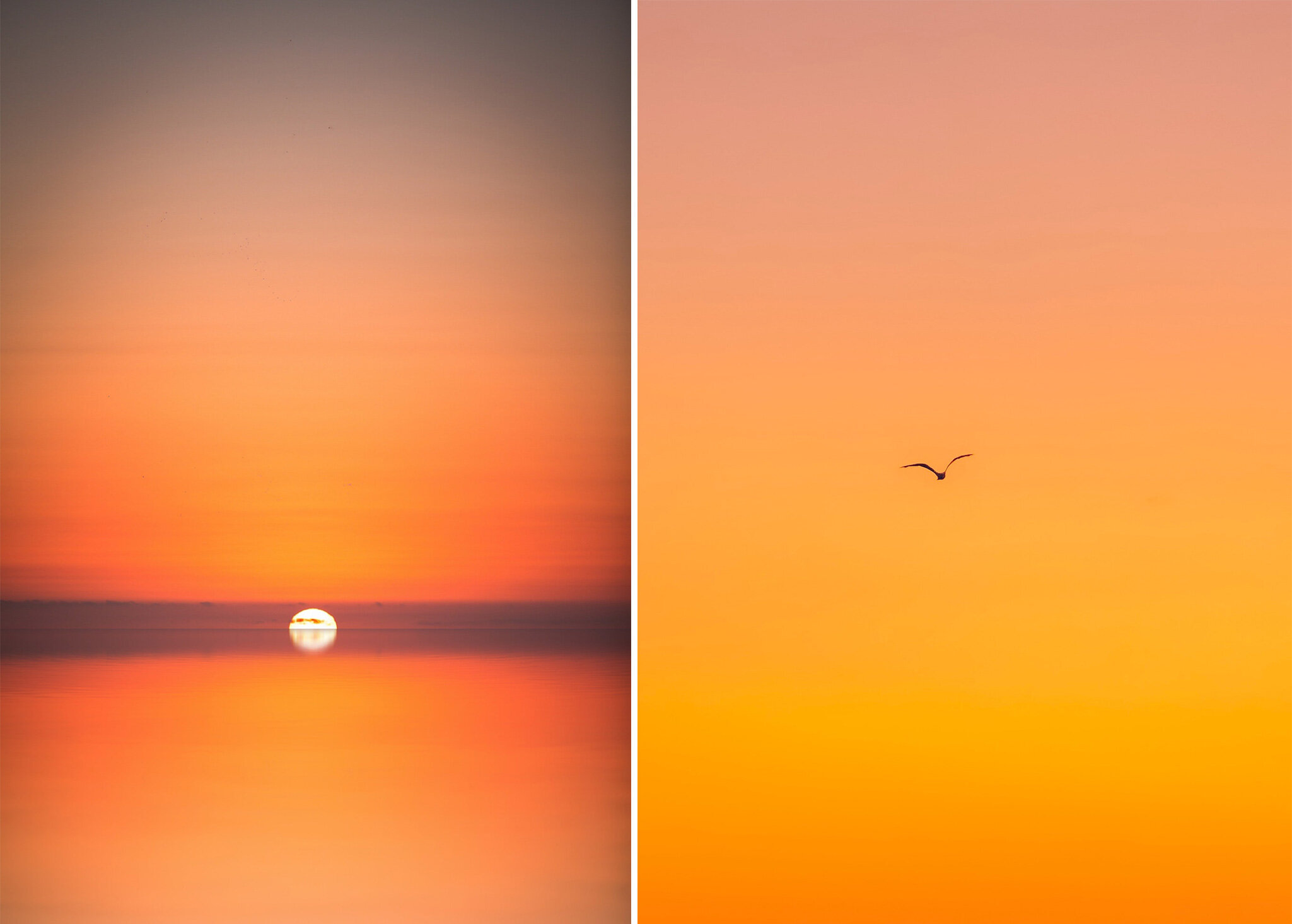 Second-Chakra-Header-Image-RAC.jpg