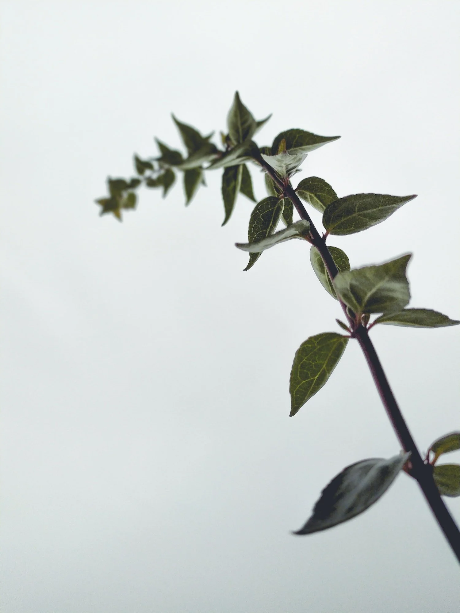 How do you measure your days? - Reframing Seasons and Success 