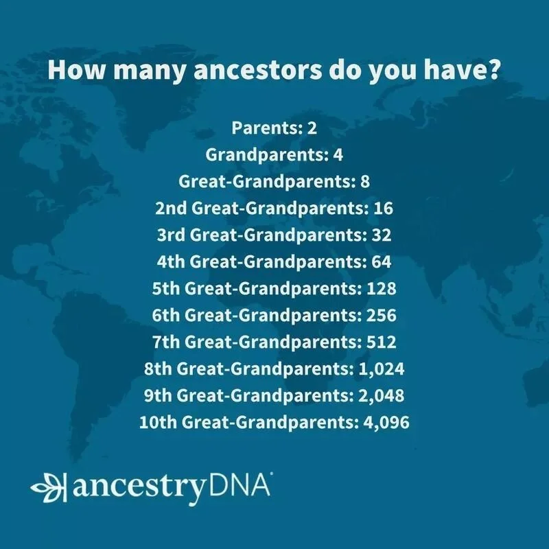 geneology.jpg
