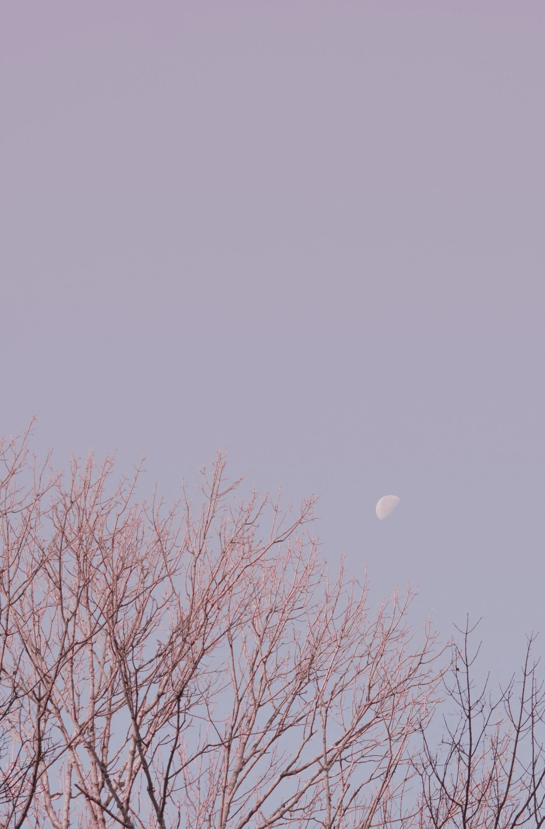 Balance Lives In Me - I saw the sun and the moon in the same morning sky today