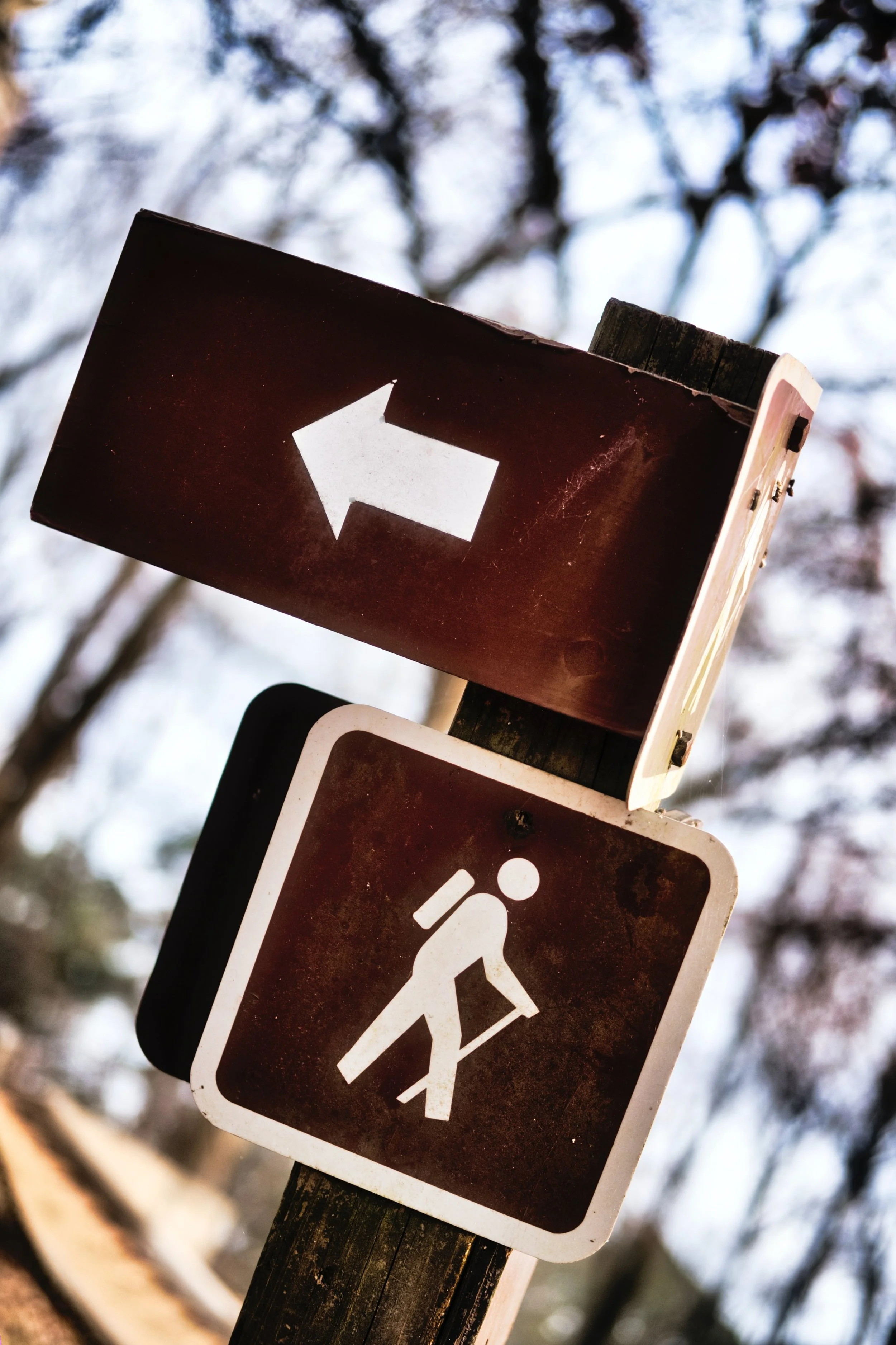 Why non-monogamy? | The truth lies in the paradox 