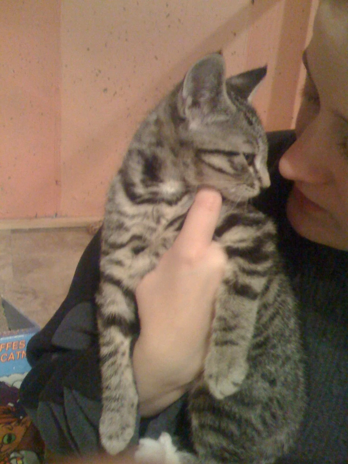 Trying to write about grief | Losing my little cat