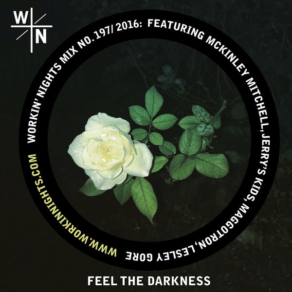 wn 197.png