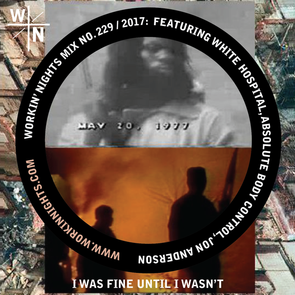 229.png