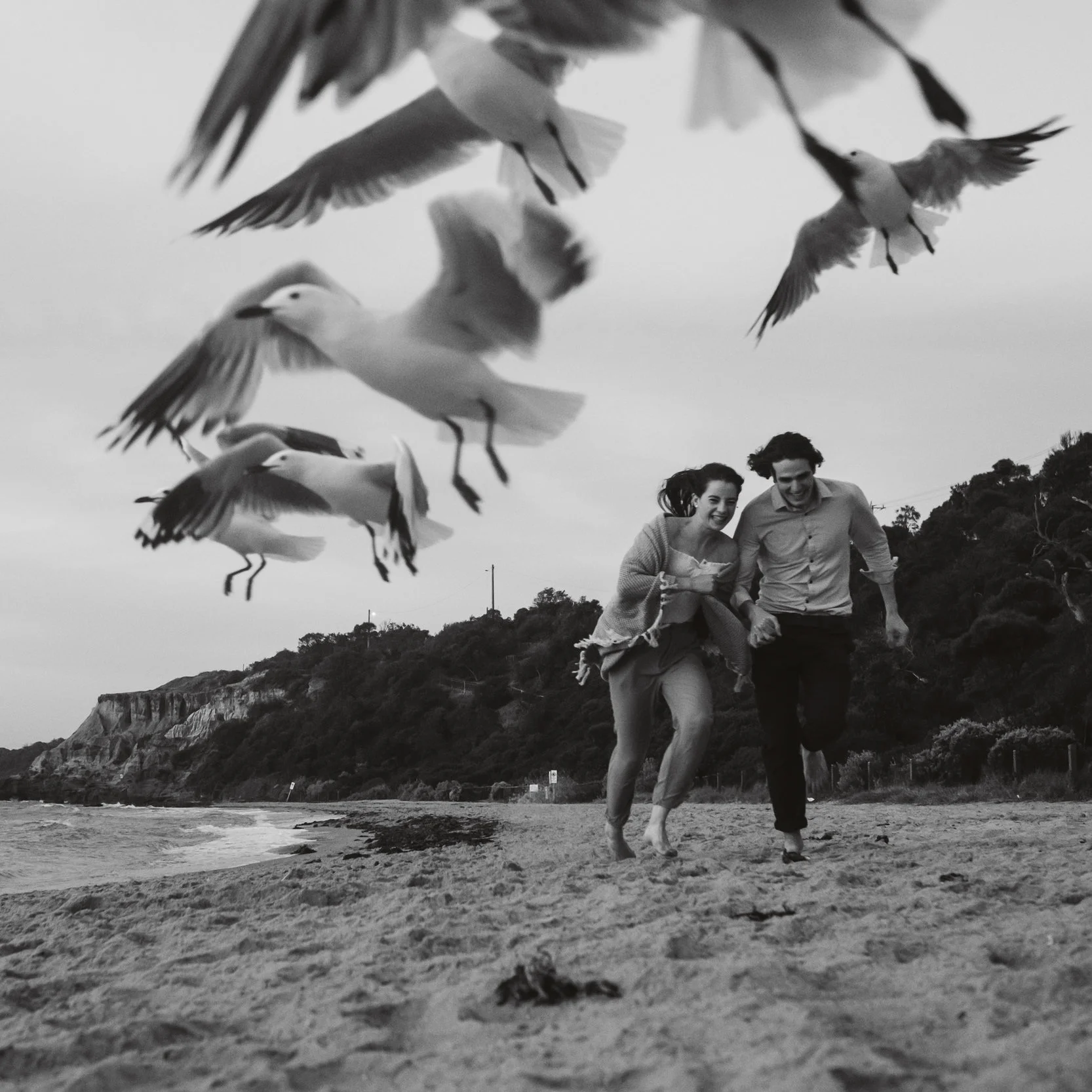 Mornington pre-wedding photographer