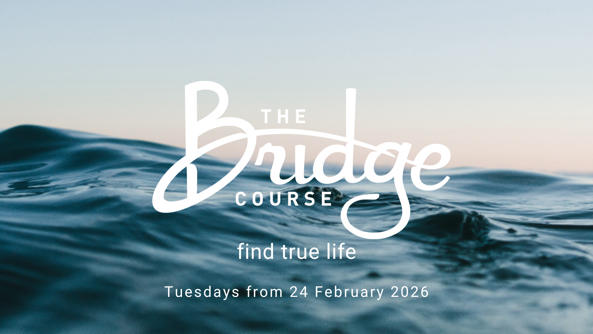 The Bridge Course TITLE SLIDE (Presentation)-2.png