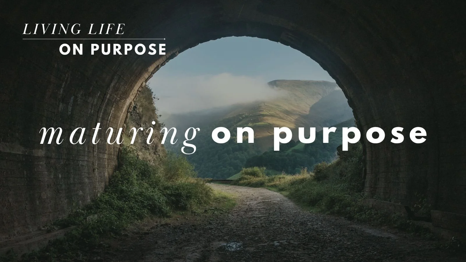 Maturing on Purpose.jpeg