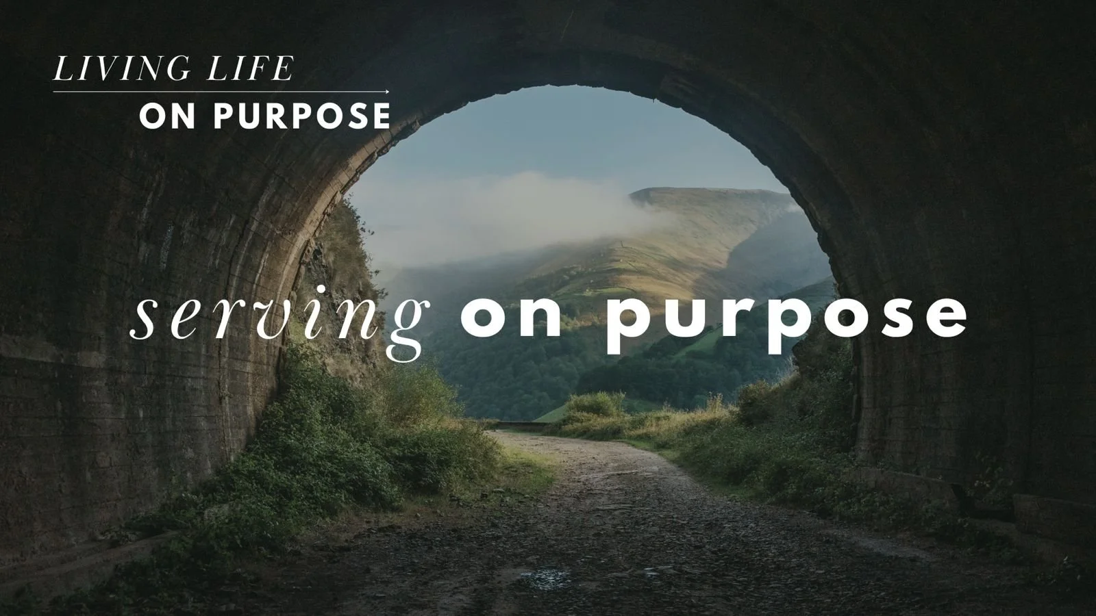 Serving on Purpose.jpeg