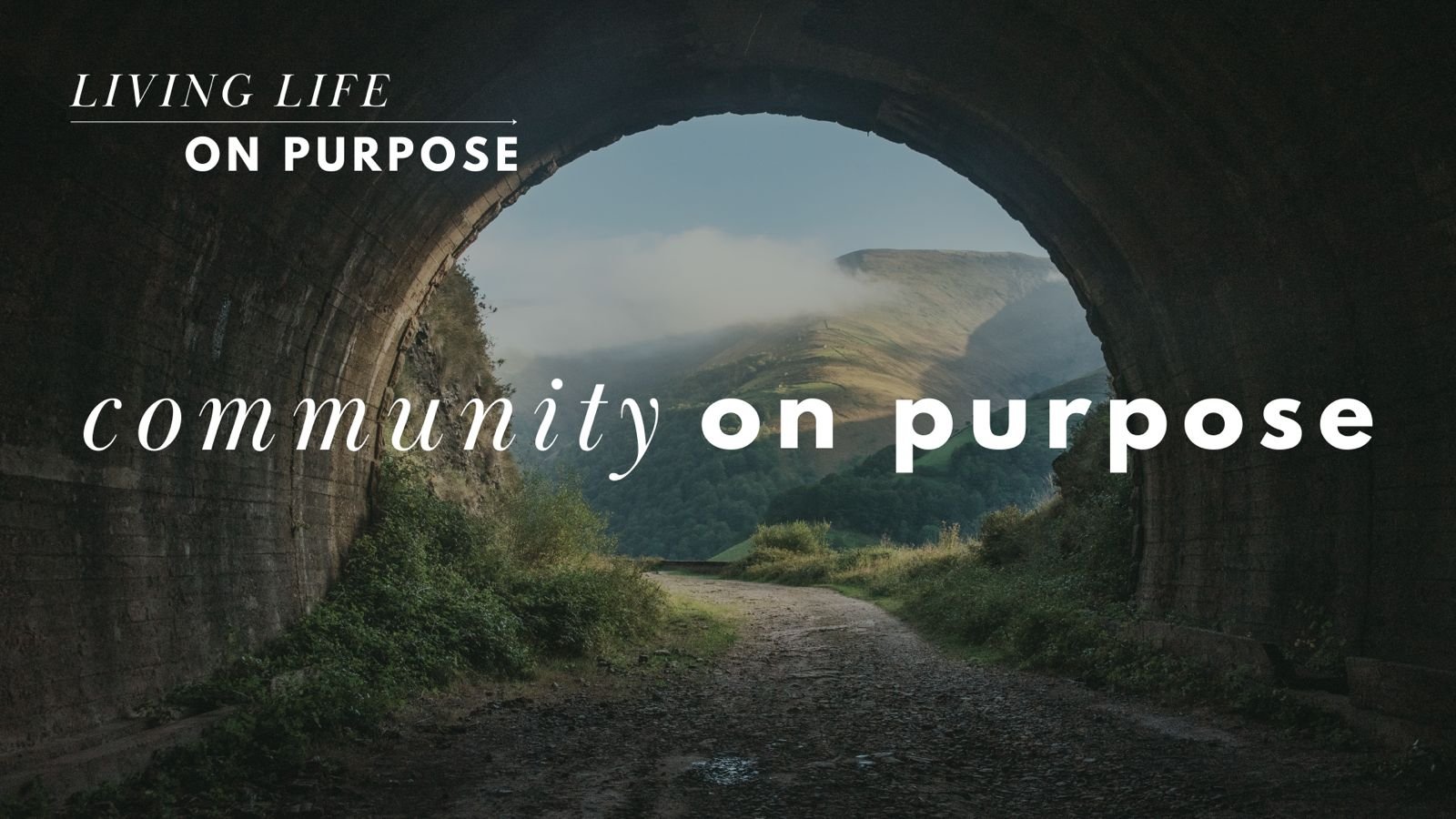 Community on Purpose.jpeg