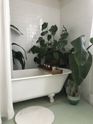 RedCottage_LMFFC_Loft_clawfootbathtub.jpg