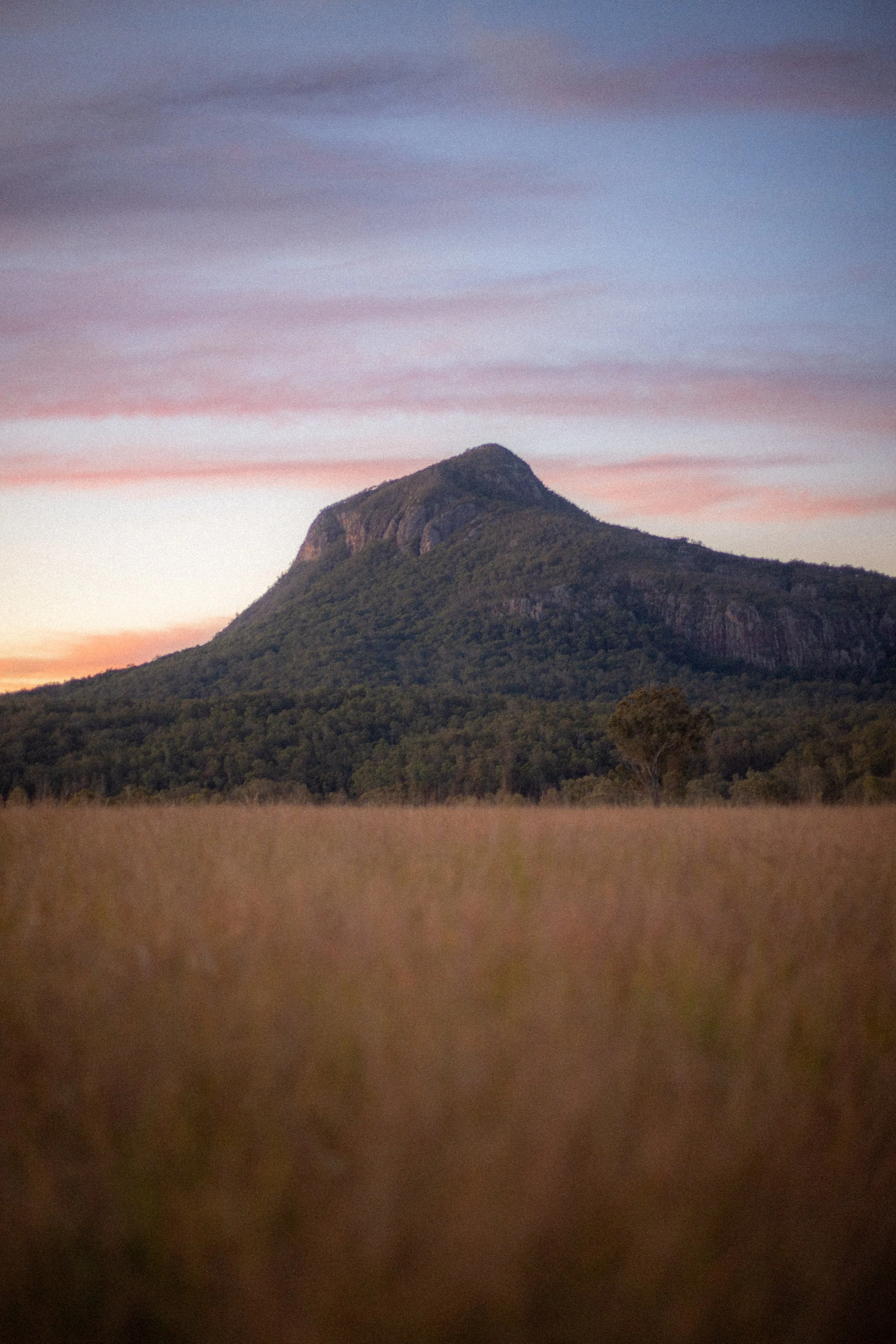 Mt Greville, Queensland