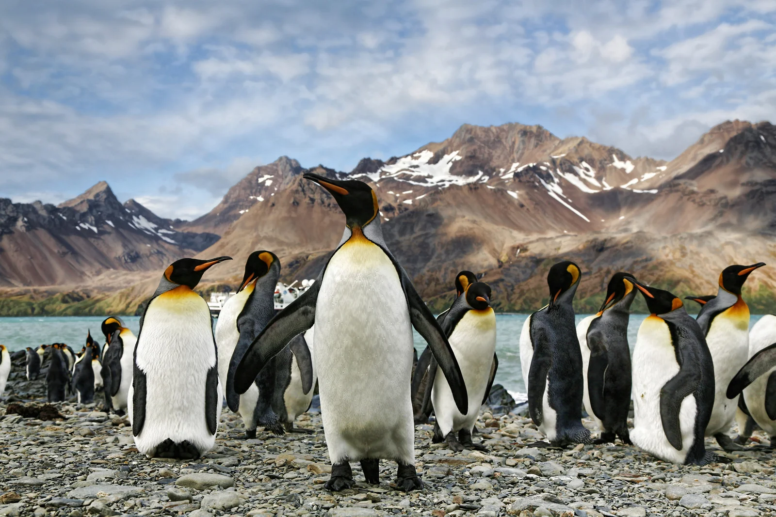 076-fortuna bay kings.jpg