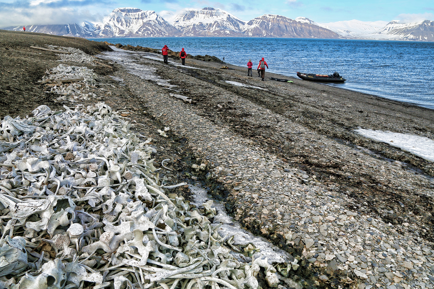Remains of beluga whale hunting camp.