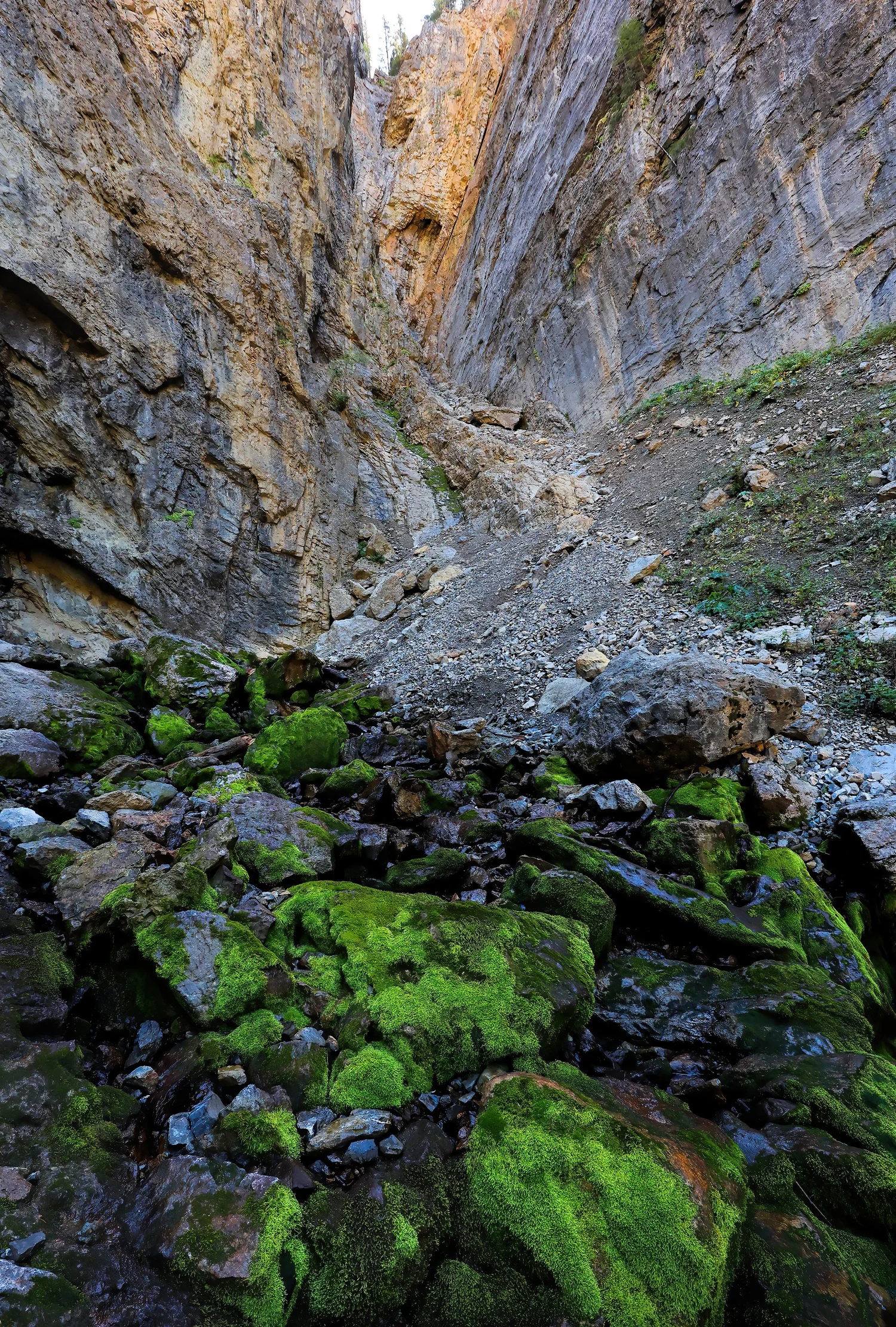 Periodic Spring is well named... — GEOPHOTOSCAPES