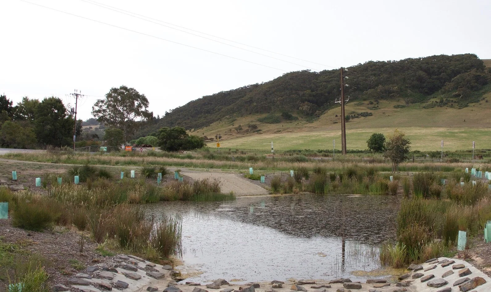 wetlands+old+-+web.jpg