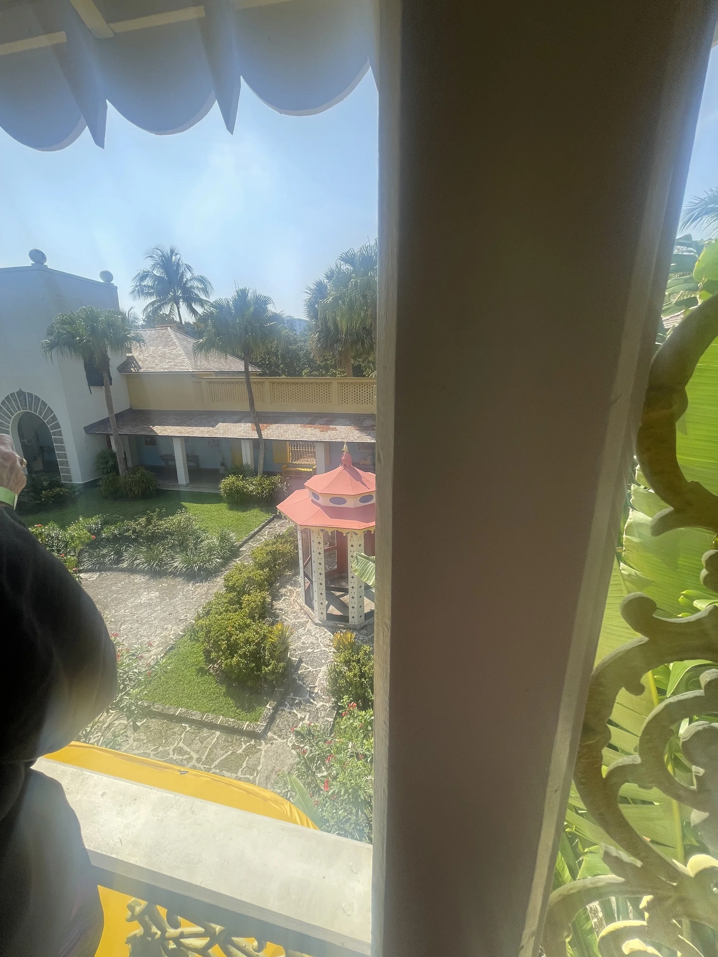 IMG_3392.jpeg