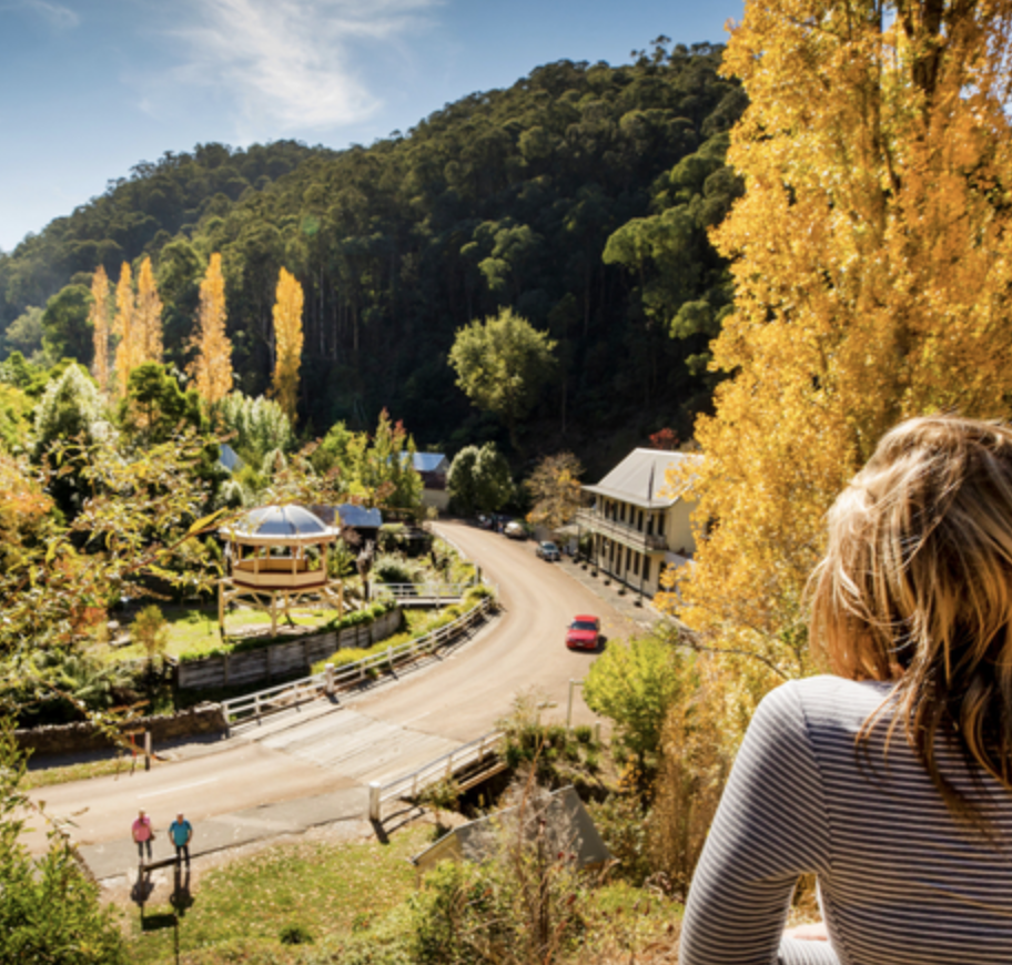 View of a scenic hillside town with a curved dirt road, surrounded by lush green trees and yellow autumn leaves, with a woman in the foreground overlooking the scene.