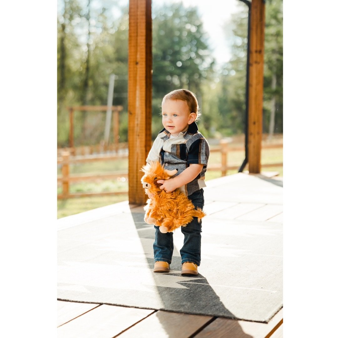 Happy Tuesday friends! Had a great time @thepilgrimranch last week with this sweet family!

#jordymariephotography #yelm #yelmphotographer #eatonvillephotographer #jordymarie