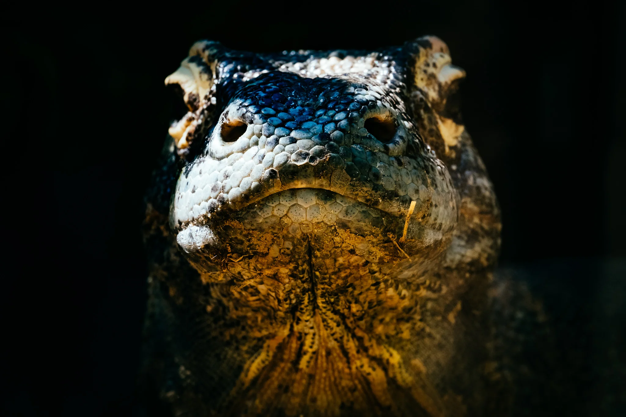 20180507-GatorFarm-19.jpg