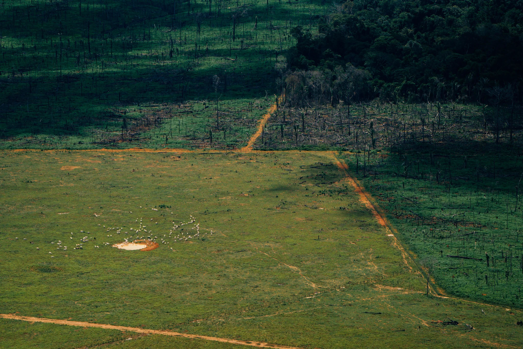 Cattle Ranch.jpg