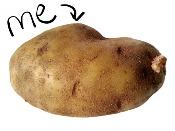 potato.jpg